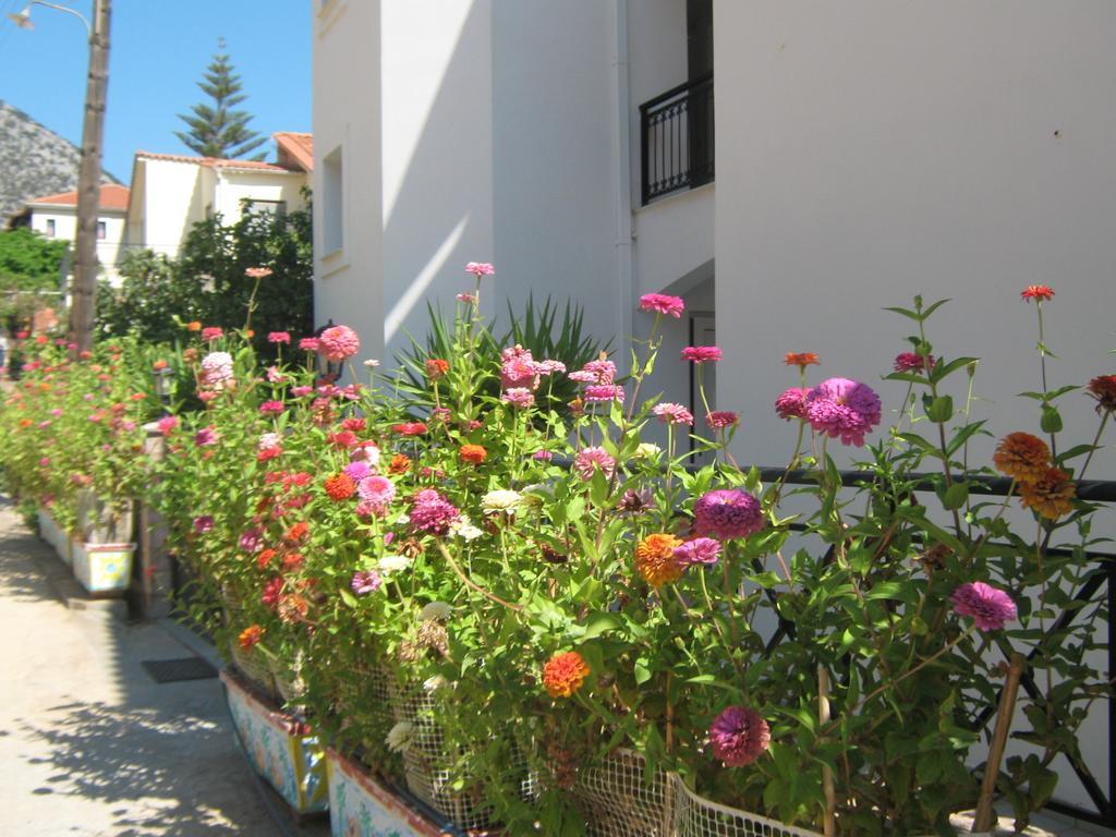Hotel Friderica House Poros  Habitación foto